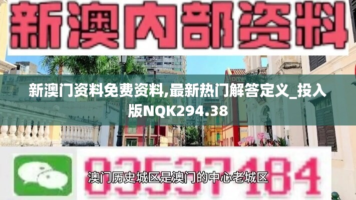 新澳门资料免费资料,最新热门解答定义_投入版NQK294.38