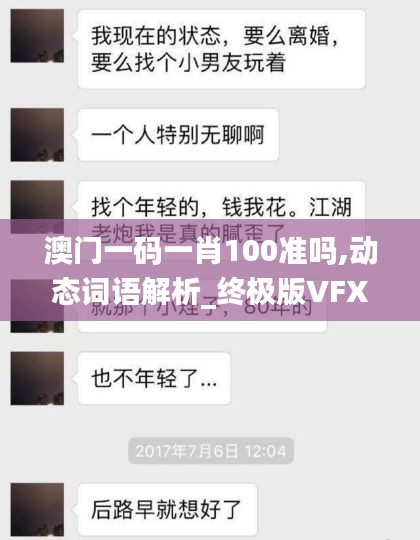 澳门一码一肖100准吗,动态词语解析_终极版VFX739.69