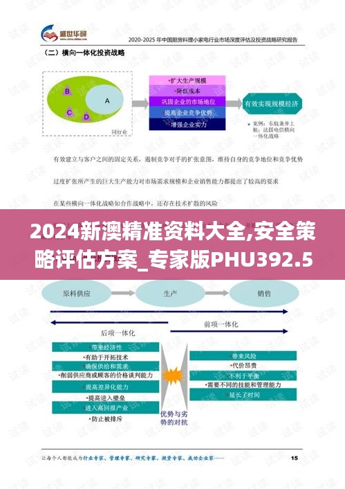 2024新澳精准资料大全,安全策略评估方案_专家版PHU392.55