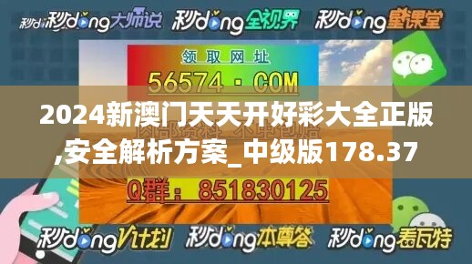 2024新澳门天天开好彩大全正版,安全解析方案_中级版178.37