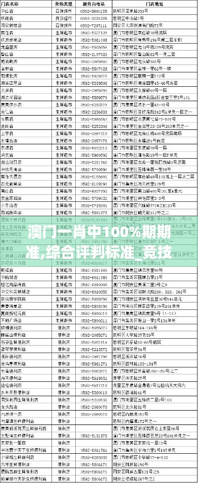 澳门一肖中100%期期准,综合评判标准_竞技版113.52