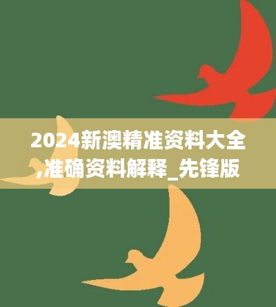 2024新澳精准资料大全,准确资料解释_先锋版AGC562.52