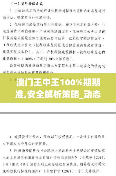 澳门王中王100%期期准,安全解析策略_动态版IGL278.76