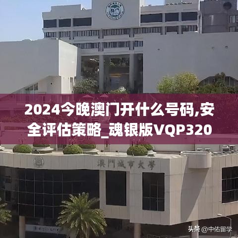 2024今晚澳门开什么号码,安全评估策略_魂银版VQP320.7