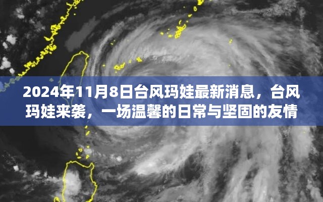 台风玛娃来袭，温馨日常与坚固友情的挑战（2024年11月8日最新消息）