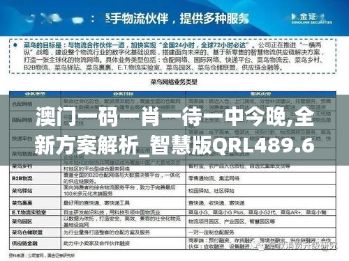 澳门一码一肖一待一中今晚,全新方案解析_智慧版QRL489.65