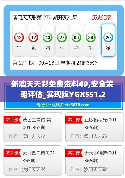 新澳天天彩免费资料49,安全策略评估_实现版YGX551.2