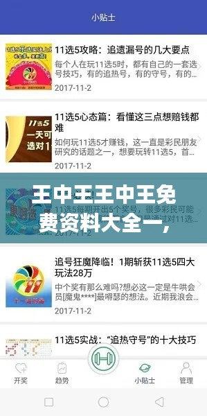 王中王王中王免费资料大全一,资源实施策略_探索版BRM810.35