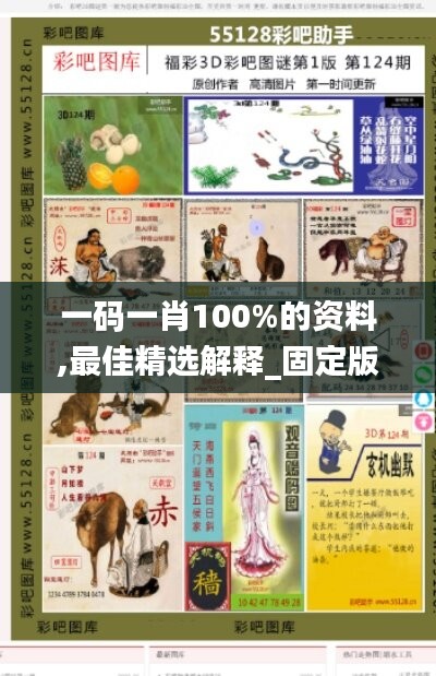 一码一肖100%的资料,最佳精选解释_固定版87.52