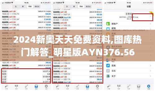 2024新奥天天免费资料,图库热门解答_明星版AYN376.56