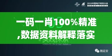 一码一肖100%精准,数据资料解释落实_挑战版YLZ329.81