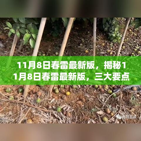 揭秘11月8日春雷最新版深度解读，三大要点悉数呈现