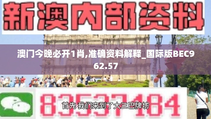 澳门今晚必开1肖,准确资料解释_国际版BEC962.57