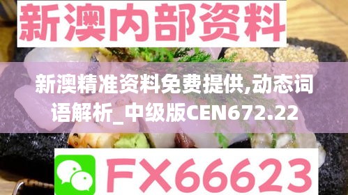 新澳精准资料免费提供,动态词语解析_中级版CEN672.22