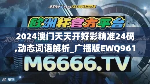 2024澳门天天开好彩精准24码,动态词语解析_广播版EWQ961.9