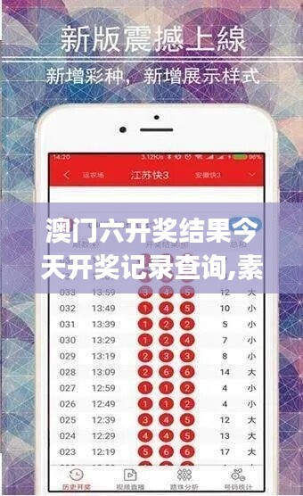 澳门六开奖结果今天开奖记录查询,素材动态方案解答_编程版SXP918.17