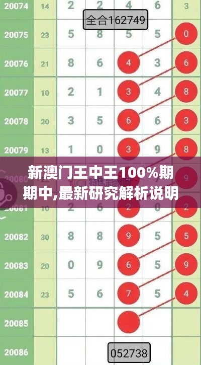 新澳门王中王100%期期中,最新研究解析说明_蓝球版XPN588.09