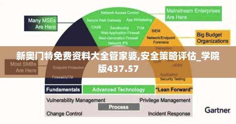 新奥门特免费资料大全管家婆,安全策略评估_学院版437.57