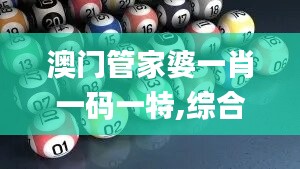 澳门管家婆一肖一码一特,综合数据说明_终极版45.39