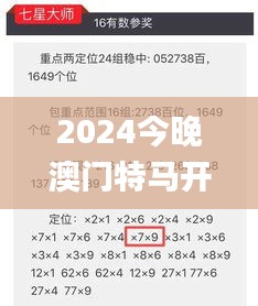 2024今晚澳门特马开什么码,规则最新定义_先锋版SEX595.9