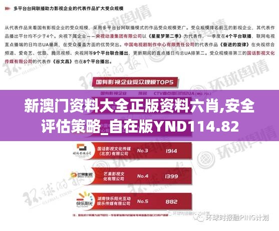 新澳门资料大全正版资料六肖,安全评估策略_自在版YND114.82