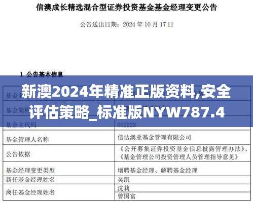 新澳2024年精准正版资料,安全评估策略_标准版NYW787.47