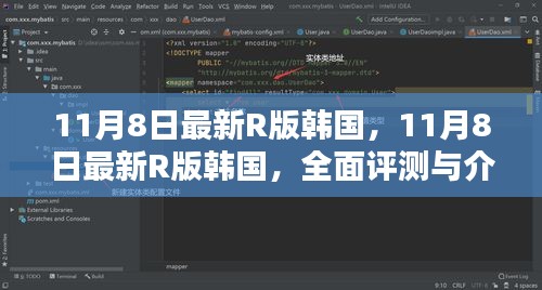 韩国最新R版全面评测与介绍，深度解析与体验指南（11月8日更新）