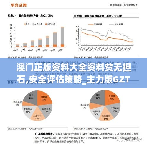 澳门正版资料大全资料贫无担石,安全评估策略_主力版GZT570.96