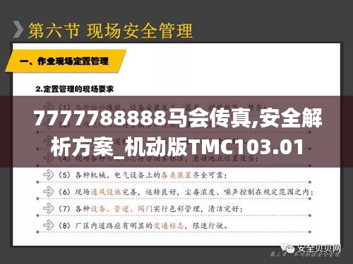 7777788888马会传真,安全解析方案_机动版TMC103.01