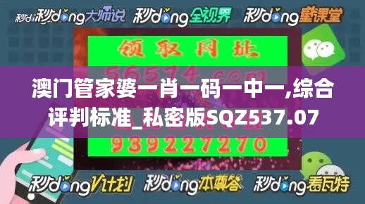 澳门管家婆一肖一码一中一,综合评判标准_私密版SQZ537.07