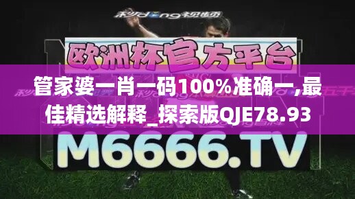 管家婆一肖一码100%准确一,最佳精选解释_探索版QJE78.93