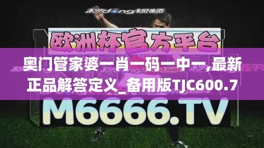 奥门管家婆一肖一码一中一,最新正品解答定义_备用版TJC600.76