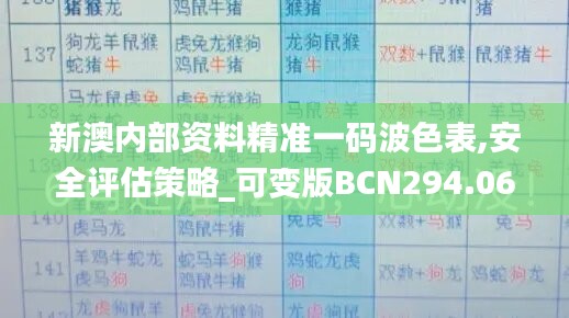 新澳内部资料精准一码波色表,安全评估策略_可变版BCN294.06