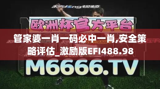 管家婆一肖一码必中一肖,安全策略评估_激励版EFI488.98