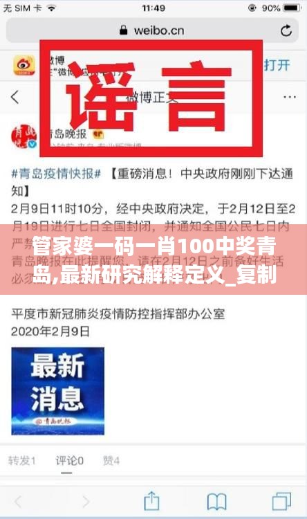 管家婆一码一肖100中奖青岛,最新研究解释定义_复制版157.24