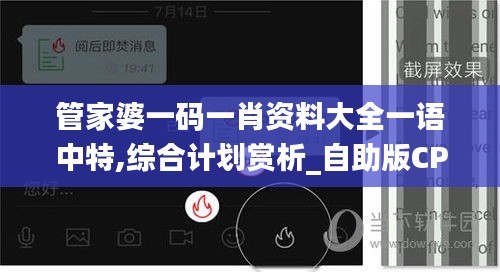 管家婆一码一肖资料大全一语中特,综合计划赏析_自助版CPD96.01