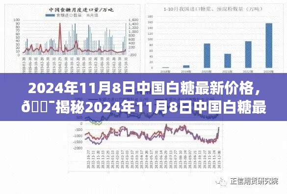 揭秘，2024年11月8日中国白糖最新价格与市场走势分析