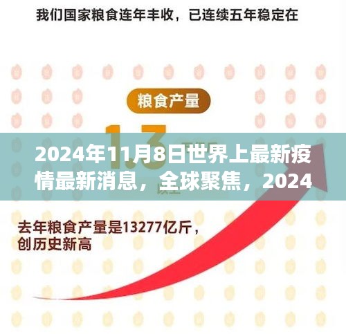 全球聚焦，2024年11月8日疫情最新动态与防控进展报告