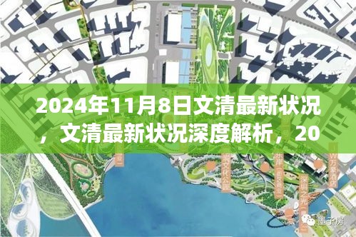 文清最新状况深度解析，回顾与展望，2024年11月8日的进展与挑战