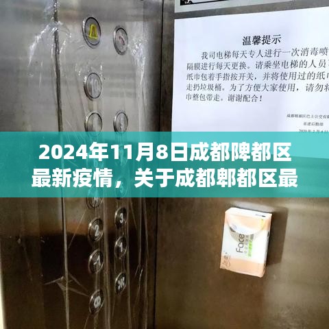 2024年11月8日成都郫都区疫情最新动态分析与报告