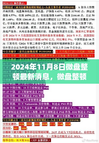 2024年11月8日微盘整顿最新动态，全面解读产品特性、体验、竞品对比及用户分析