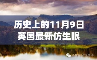 英国最新仿生眼技术揭秘，自然美景的心灵之旅——历史上的11月9日纪实