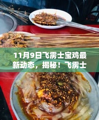 飞雳士宝鸡最新动态揭秘，小巷深处的隐藏美食宝藏