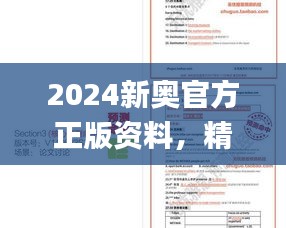 2024新奥官方正版资料，精准免费攻略汇总_创意版IDM504.28解析