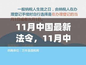 中国最新法令解读，洞悉法治新动向，11月法治要闻回顾