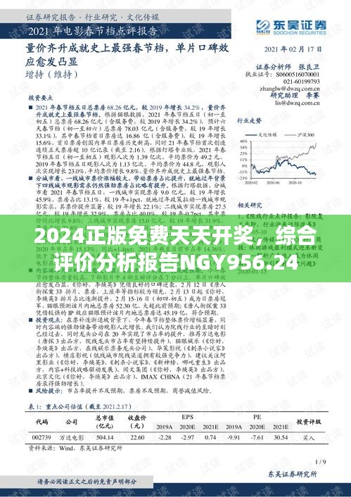 2024正版免费天天开奖，综合评价分析报告NGY956.24