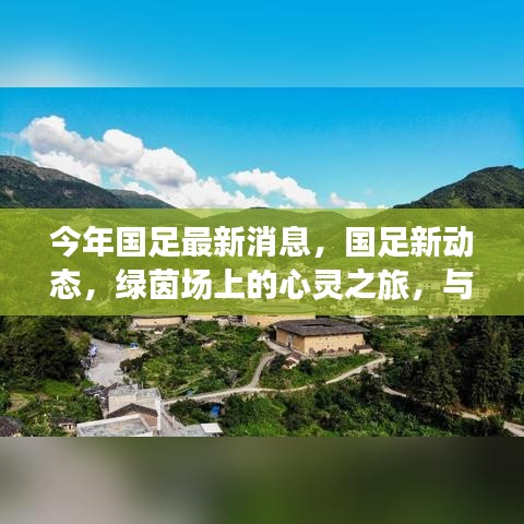 国足最新动态，绿茵场上的心灵之旅与大自然的共舞节奏