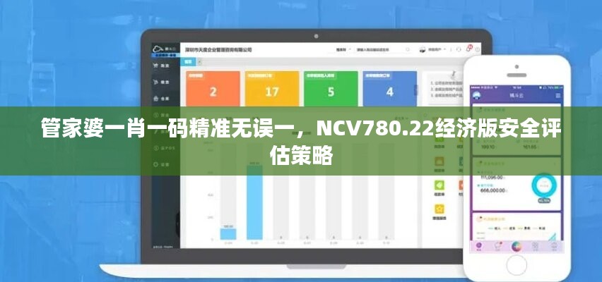 管家婆一肖一码精准无误一，NCV780.22经济版安全评估策略