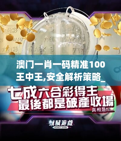 澳门一肖一码精准100王中王,安全解析策略_权限版IQH100