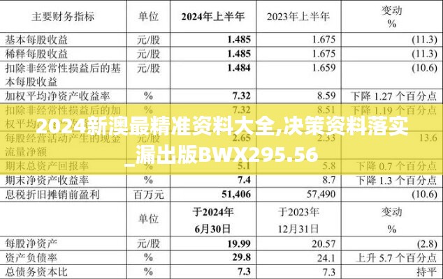 2024新澳最精准资料大全,决策资料落实_漏出版BWX295.56